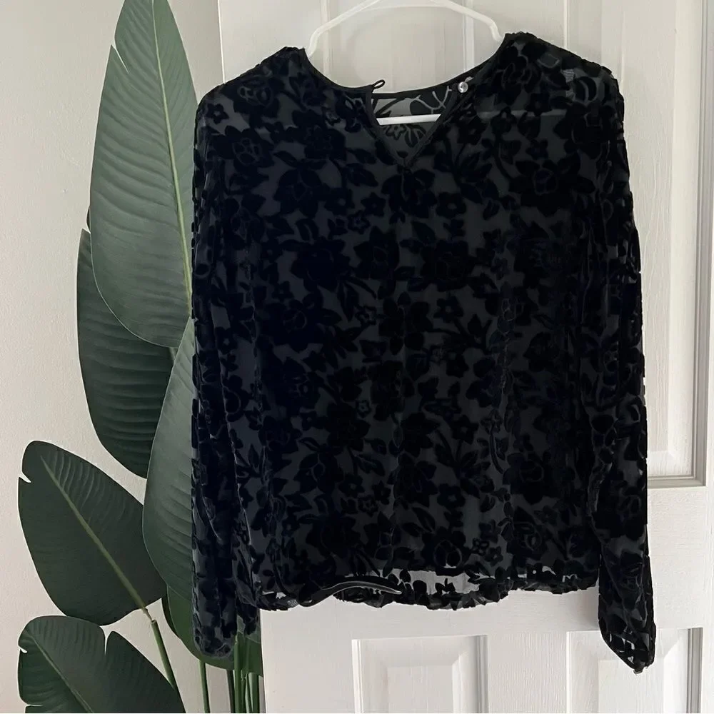J.Crew Velvet Floral Sheer Silk Blouse